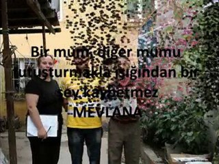 ''SENDE EL VER '' MHP BAŞAKŞEHİR  İLÇE TEŞK. KADIN KOLLARI