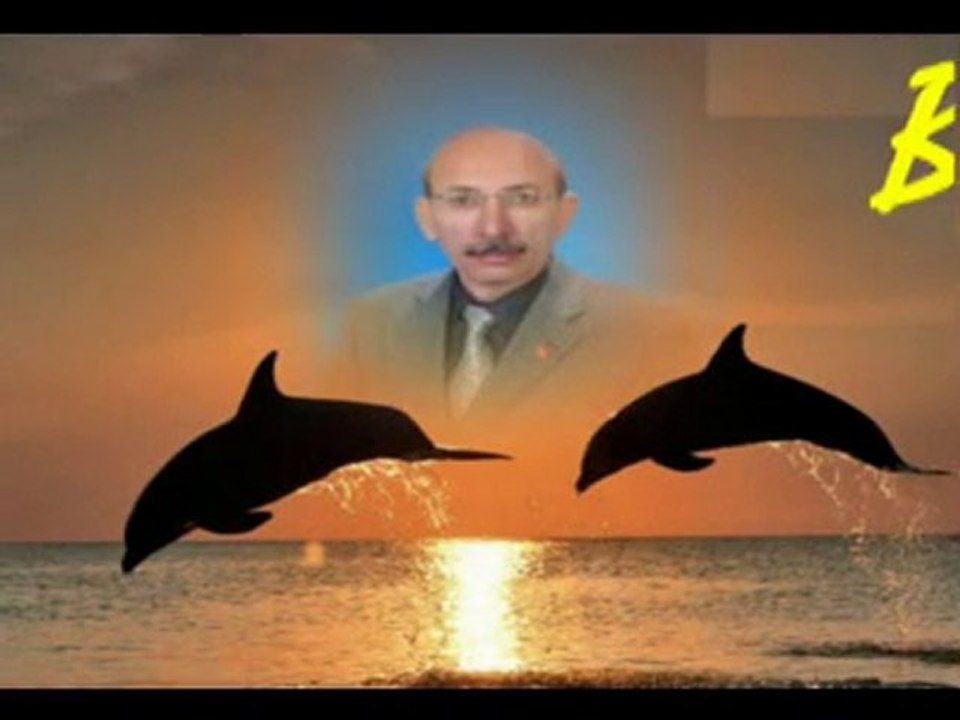 Bil Diye Yazdım_Şevki Kayaturan