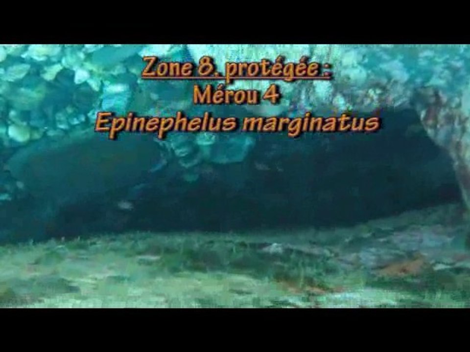 Porquerolles GEM 2010