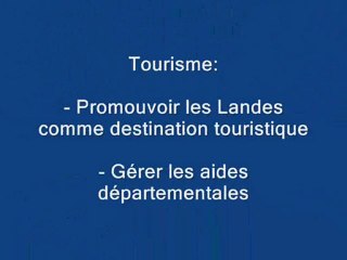 Clip de campagne - Cantonales 2011