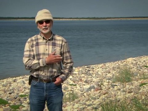 Beluga Whale Watching in Churchill – Manitoba, Canada