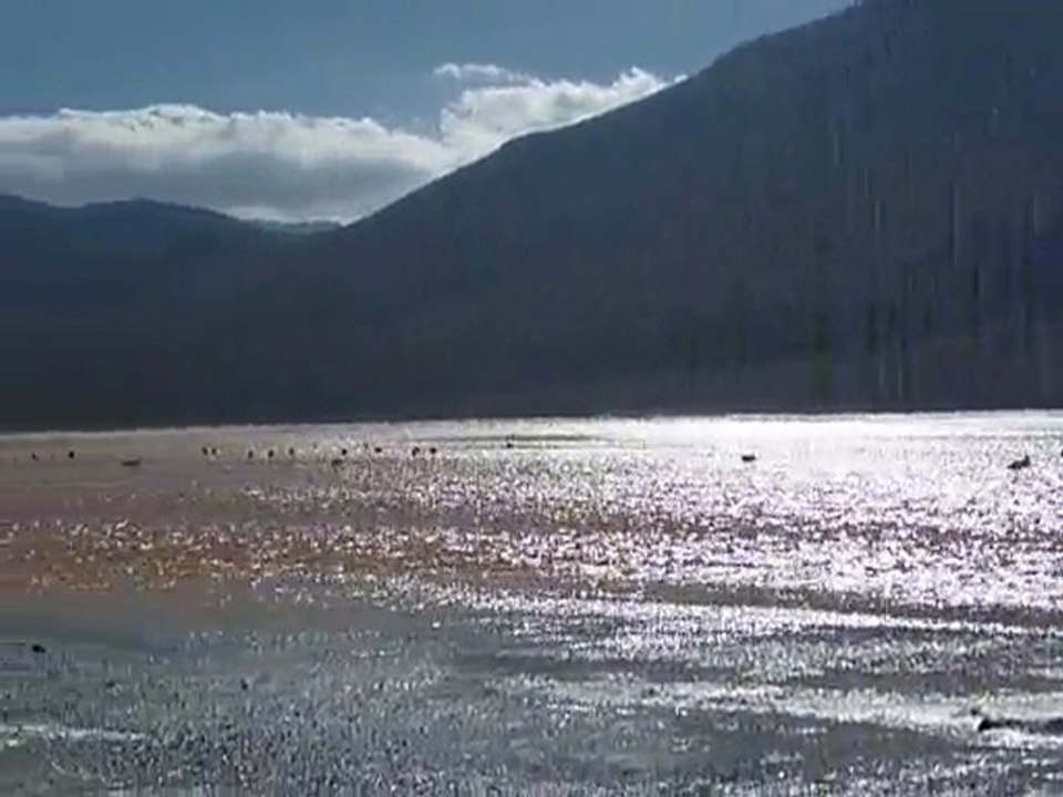 P1070368