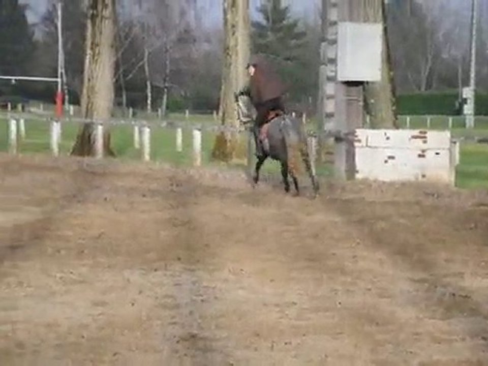 santore des claux