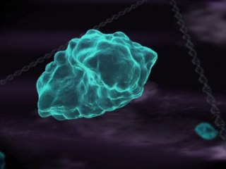 Cellectis, l'ingénierie des génomes - L'Inactivation d'un gè