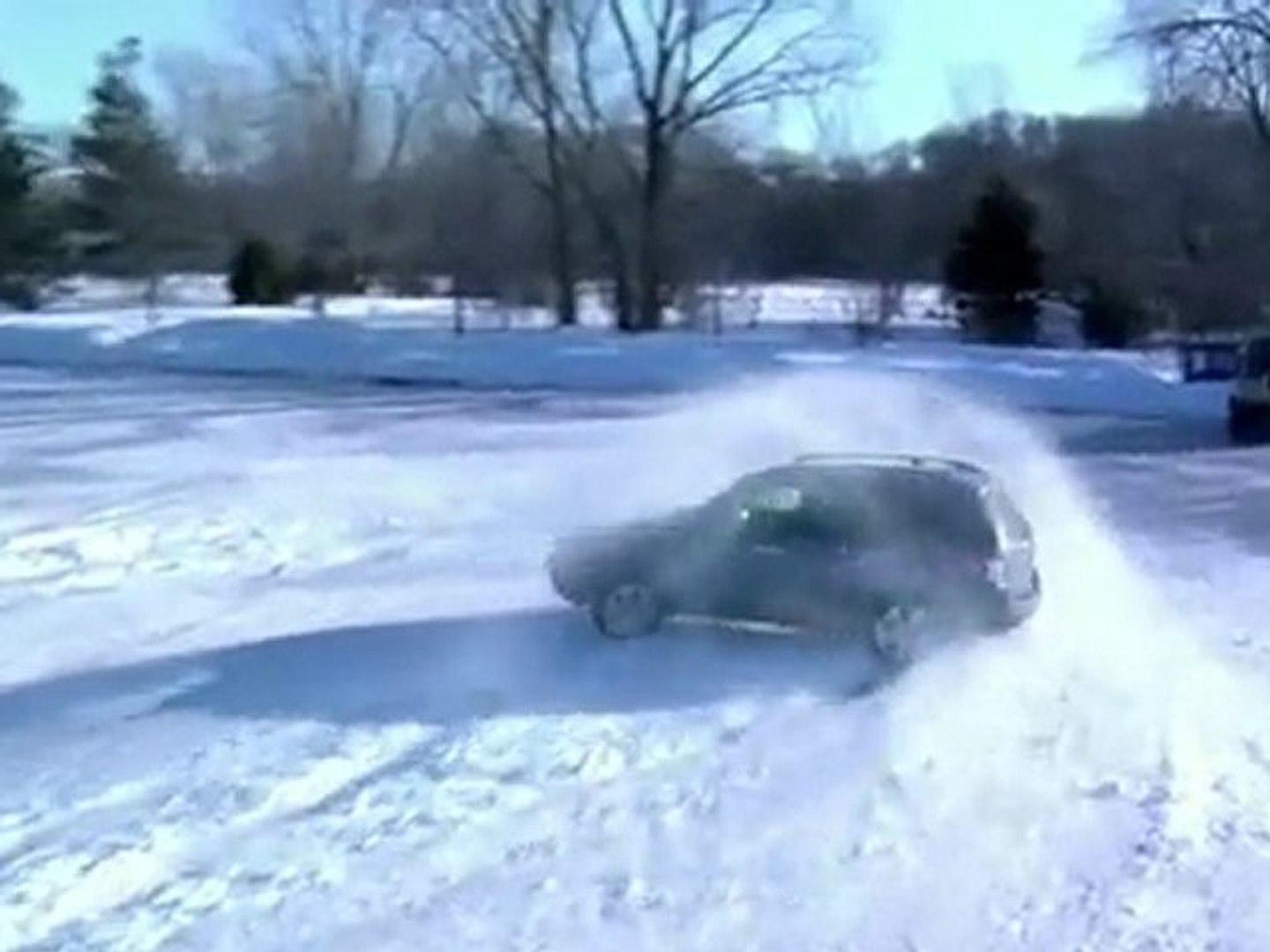 Subaru Forester - Dog Tested. Dog Approved.