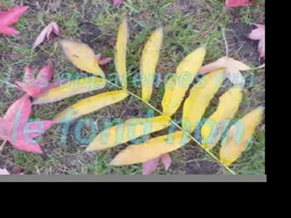 Bravo mais attention