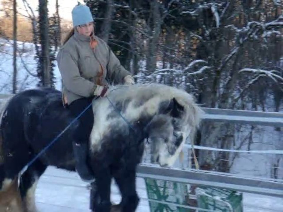 Tao liberté-Nouveautés