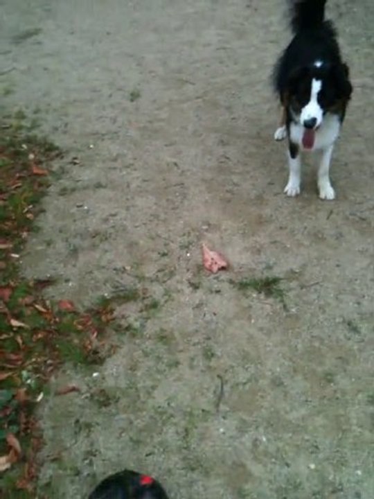 Corto entrainenent  gardien de but