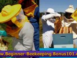 beginner beekeeping - beekeeping earnings - bookkeeping jobs
