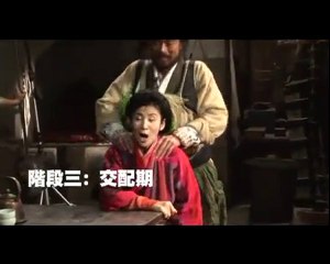 MMI-BehindTheScene-03