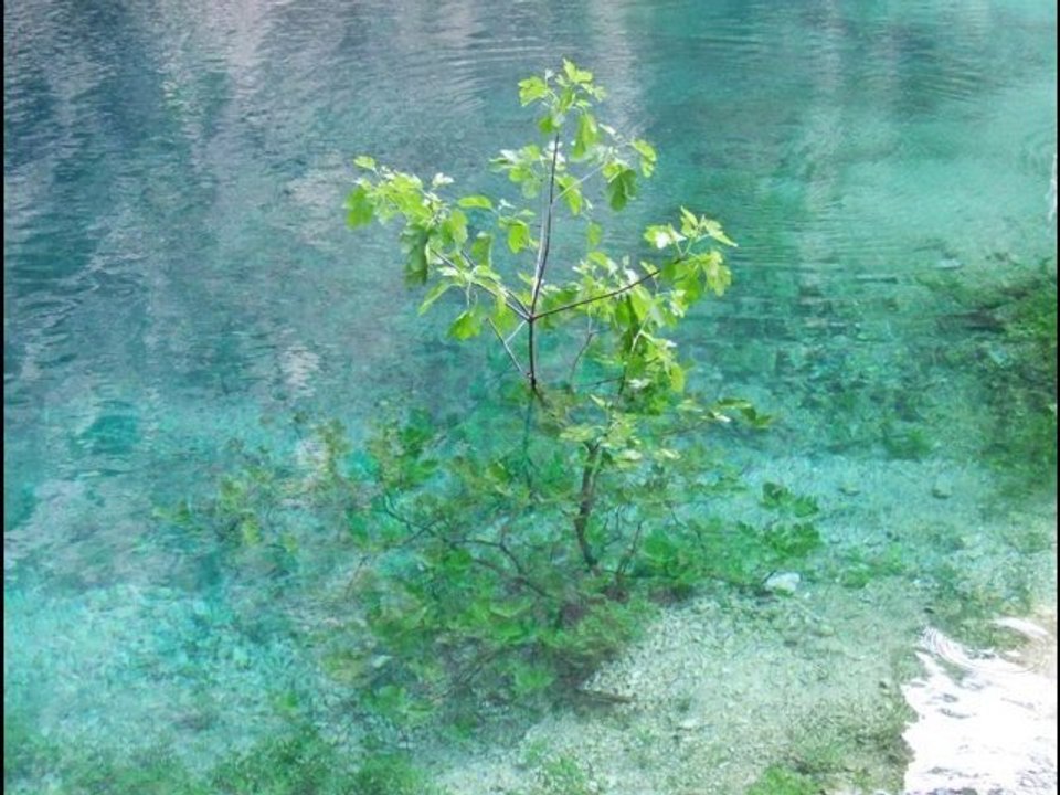 fontaine de vaucluse