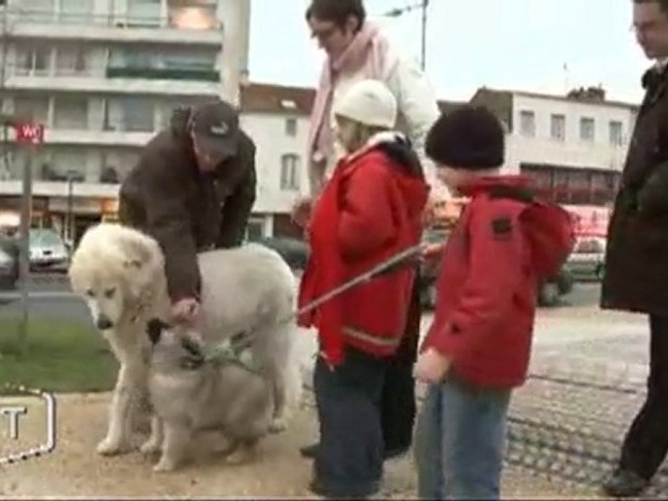 Sébastien Bourdais, éducateur canin (Cugand)