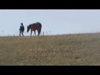 mon cheval, que j'aime tans !