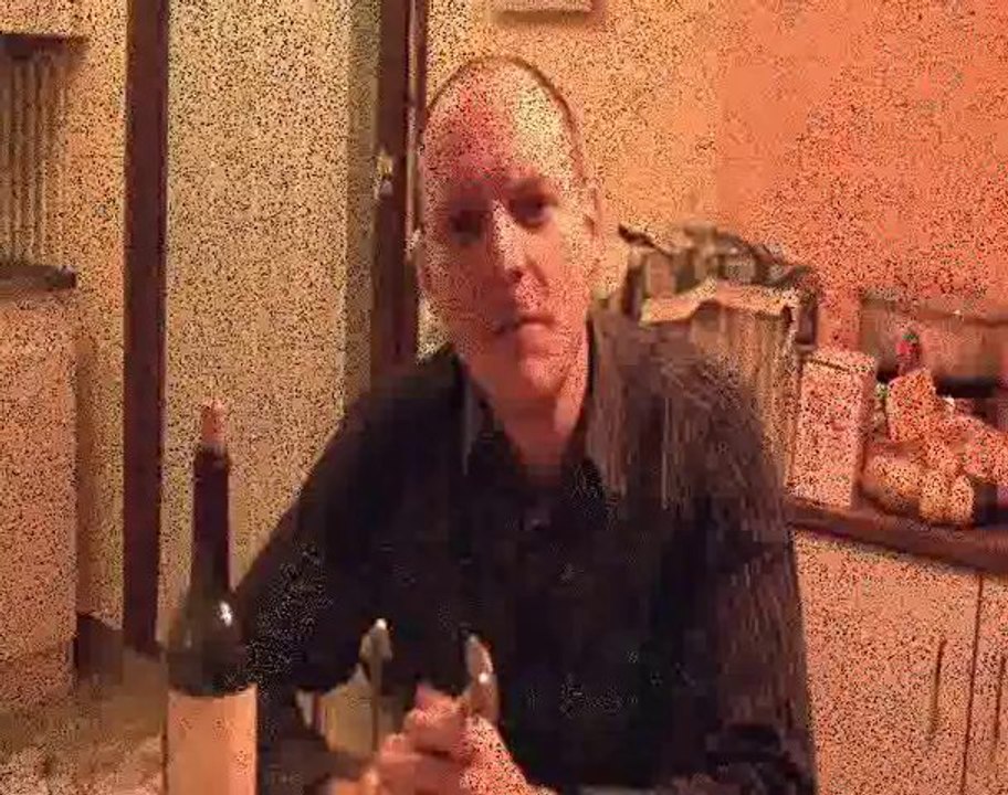 Le Beaujolais Nouveau 2010 est arrivé !!!