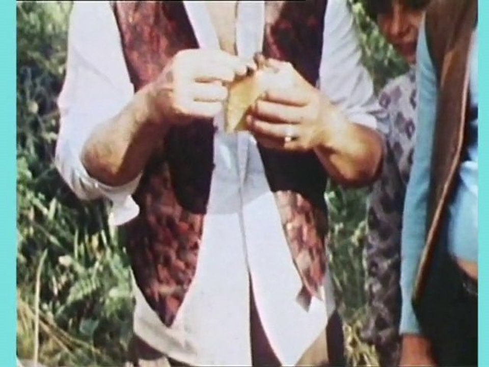 Enjoy your meal, food from every angle – the exhibition