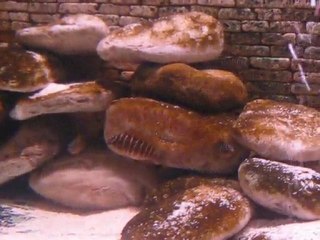 F0 Red Rainbow ve Yavruları 1