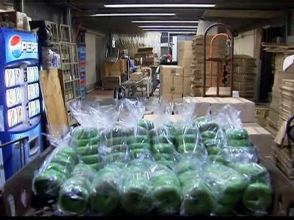 Public snaps up millions of green bagels