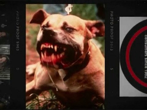 Support local music ,Gold Coast unsigned bands.