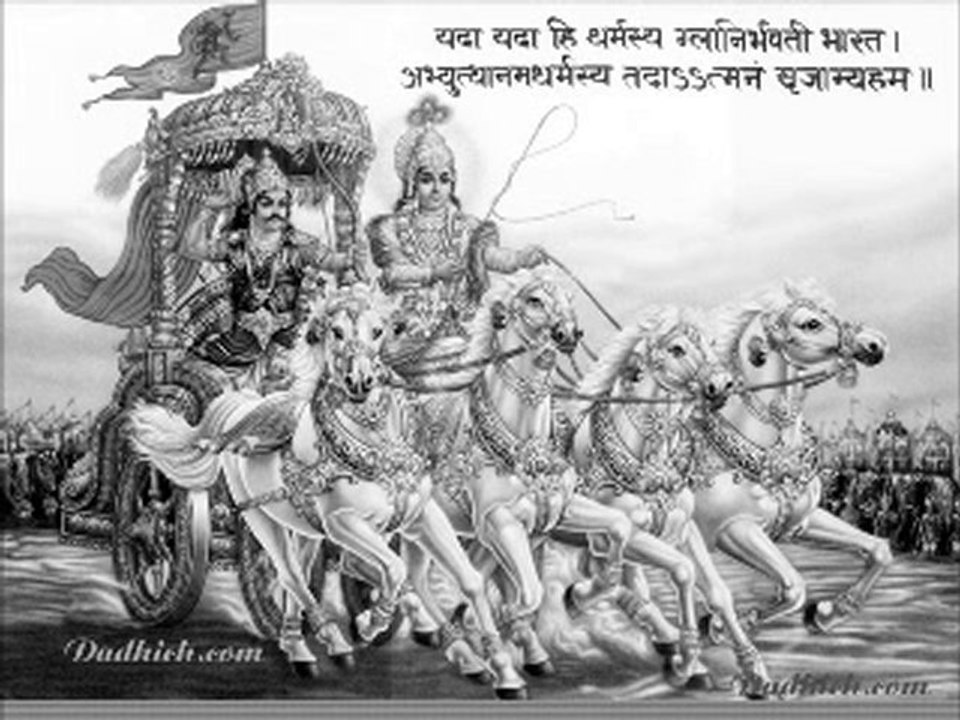 Baguette 2011 by pcsprod974