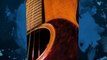 Long Island Acoustic Guitar Authority Taylor Guitars Specia