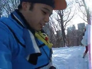 Pokémon Winter Bash 2011 - Pokémon World