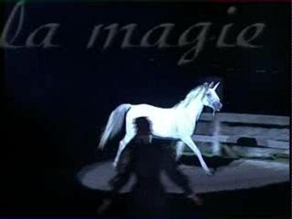 Spectacle equestre Caracole