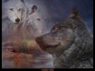 karunesh - moon in the water