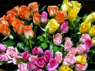 VIRÁGOK-JÓ ÉJSZAKÁT  KEDVES