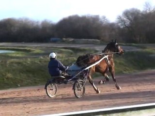 TRUE ADVENTURES EN PISTE