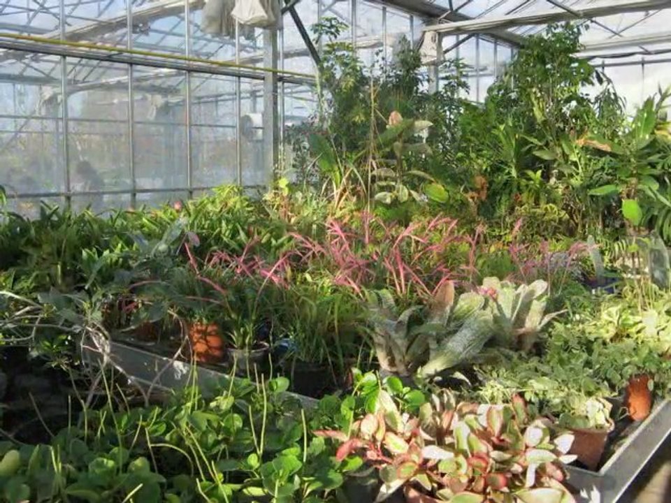 EPH Saint Gabriel Brécy, photos par les BAC Pro.