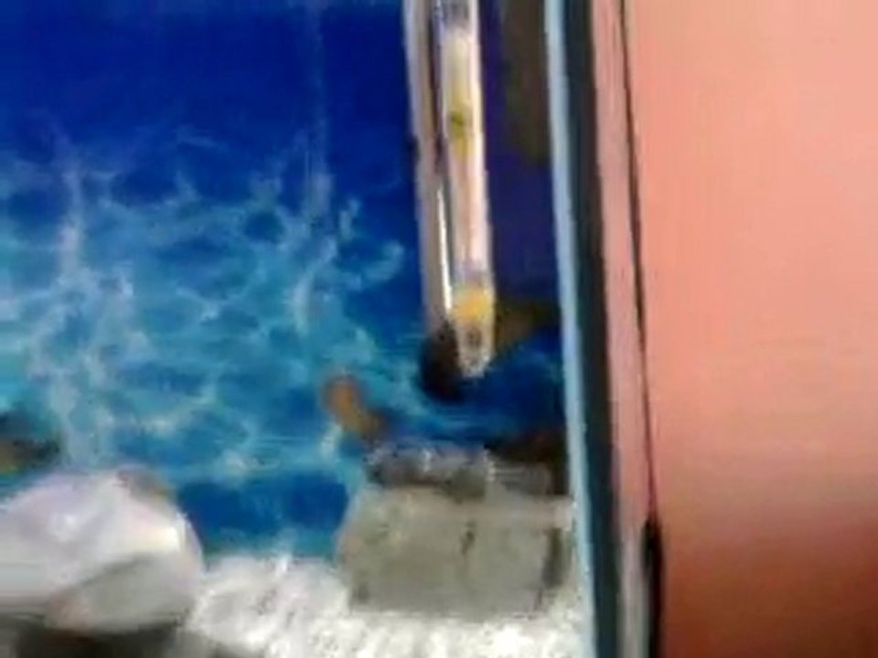 Video0080