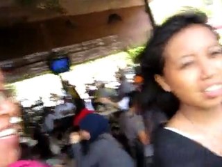 Cameron Valley Tea Plantation