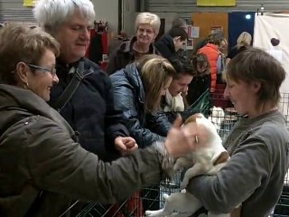 salon animalia à besançon janvier 2011