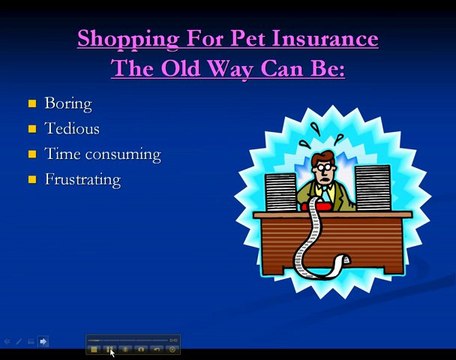 Pet Insurance Comparison Guide