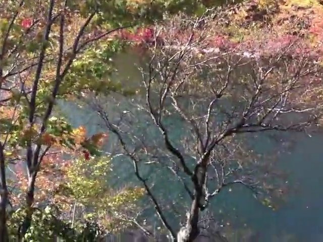 HIking the AT in New Jersey