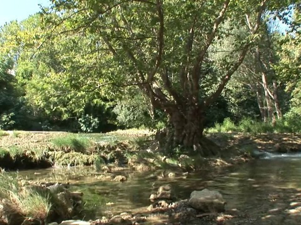 nature