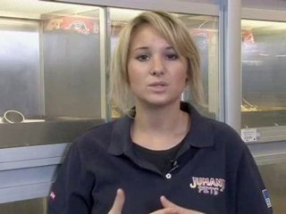 How To Start Breeding Gerbils