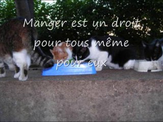 ALDRA ASSOCIATION ANIMALIERE DE NANCY