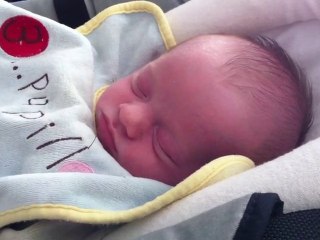 Lucas 2011-01-16a