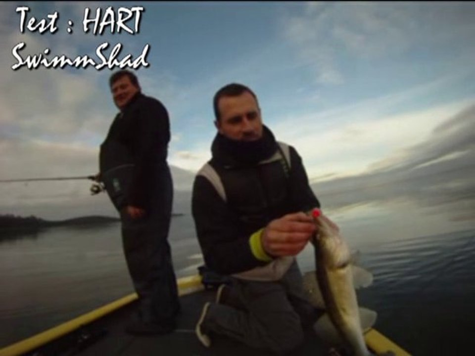Prototype II SwimmShad