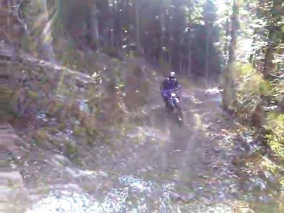 MOV004
