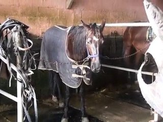 THETIS DE CORBERY A LA DOUCHE