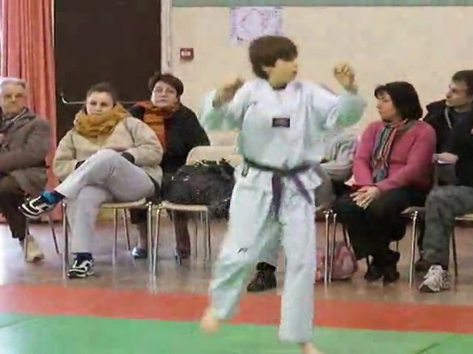 taekwondo 2011