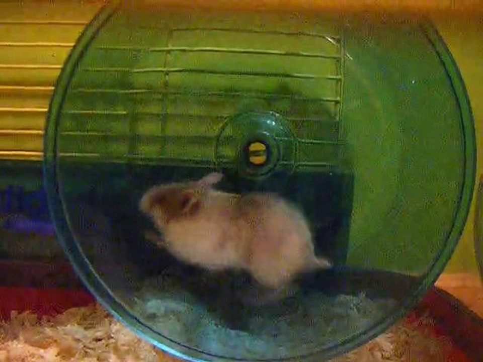 Flash Bac ;  Fait de la roue