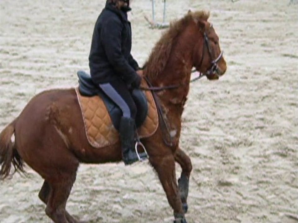 Tsar 16.01.2011 Compact