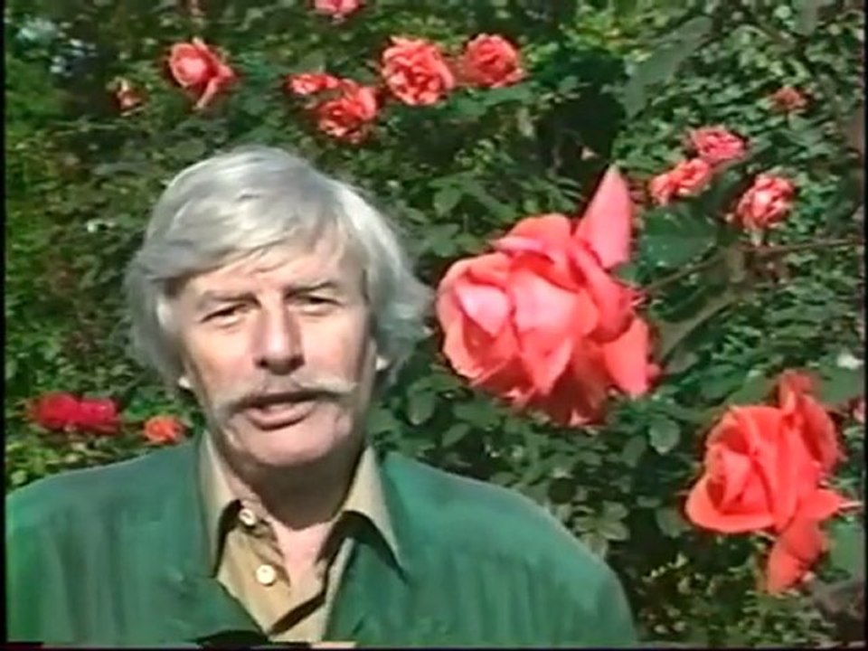 Jean Ferrat - L'Amour est Cerise