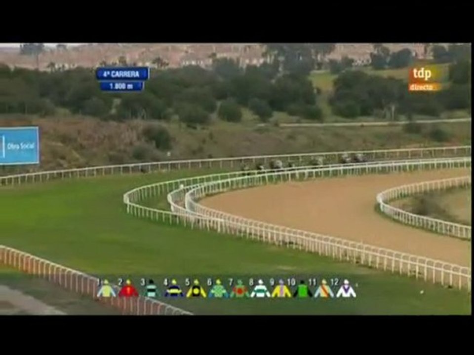 2011.01.23, nº22 DH (Cria Nacional (3a nac) DON HERNANDO HAB