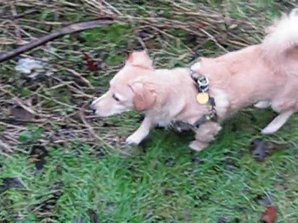 Eole en promenade :)