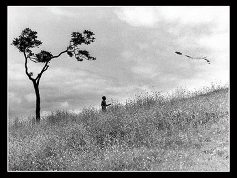 DÖRT MEVSİM İNSAN - adnan şahin