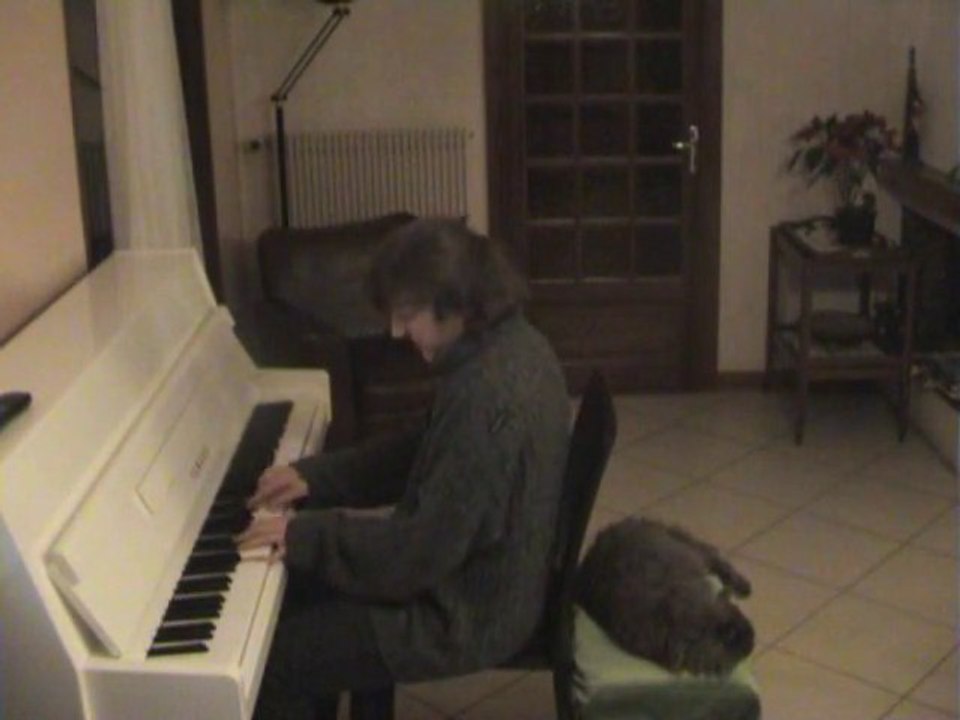 opening dragon ball z piano (cha la head cha la!!!)